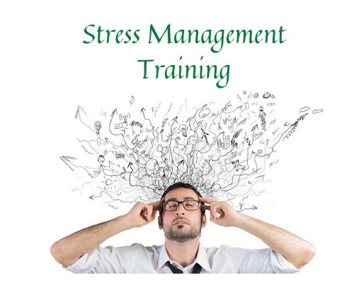 Training Stress Management